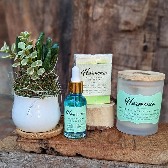 Succulent Spa Gift Set: Succulent , Bee's Wax Candle, Soap, Oil Fragrance and Handcrafted driftwood board (White tea ~ Tea tree ~ Mint)