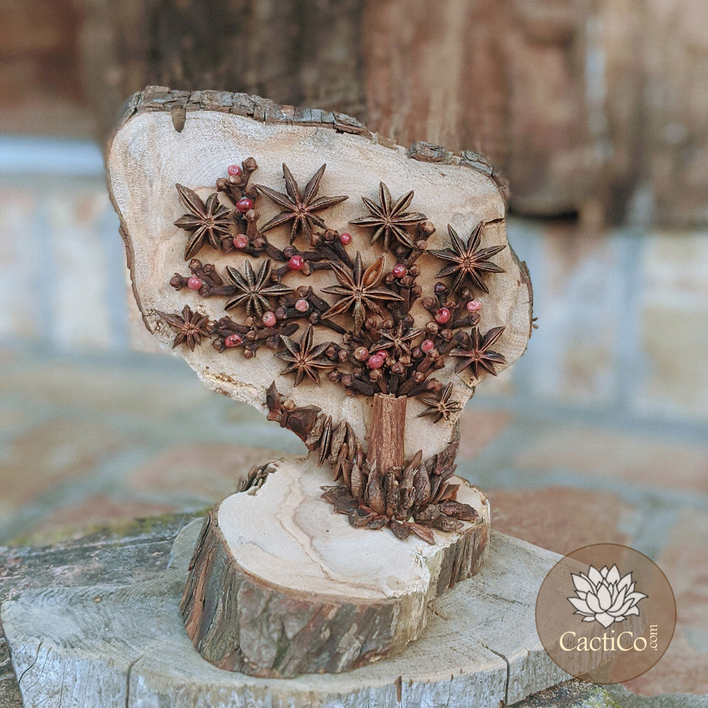 Nature Art: Star Anise Tree'
