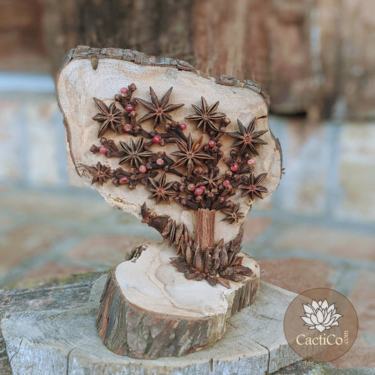 Nature Art: Star Anise Tree'