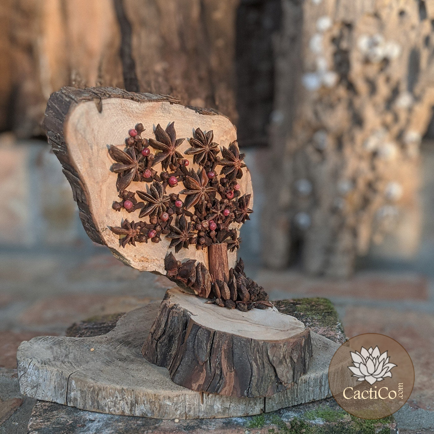 Nature Art: Star Anise Tree'