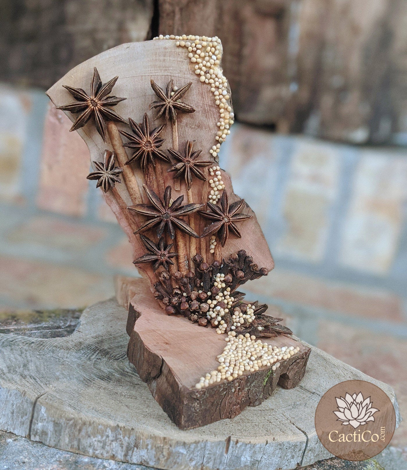 Nature Art: Star Anise Bouquet | Art Gift Centerpiece