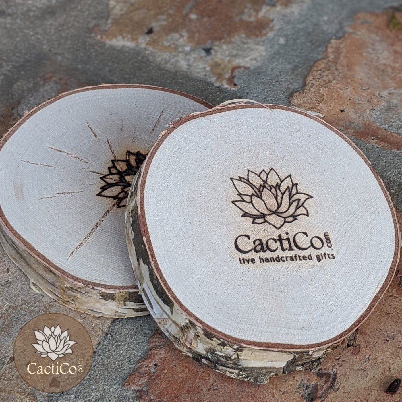Birch Plaque CactiCo Unique Handmade Gifts