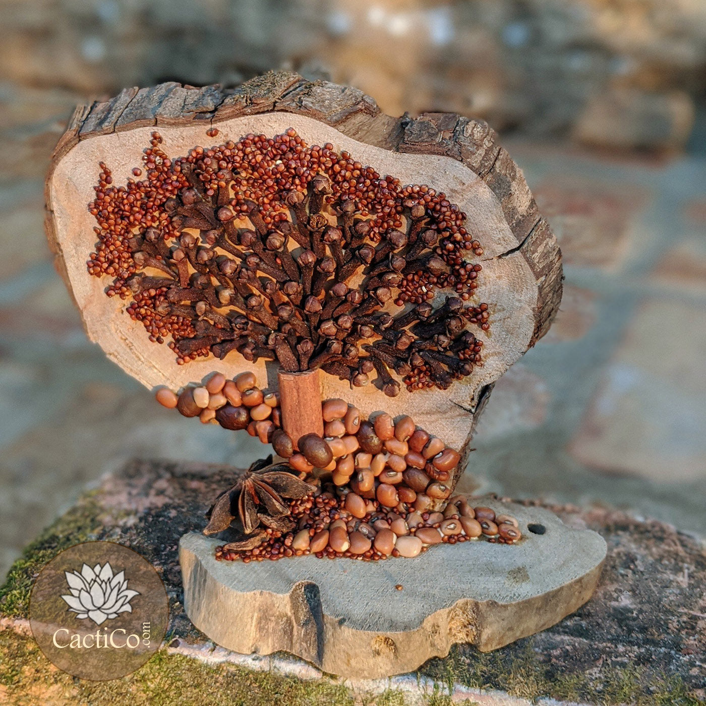Handcrafted Organic Spice & Seed Art – Natural Driftwood Décor