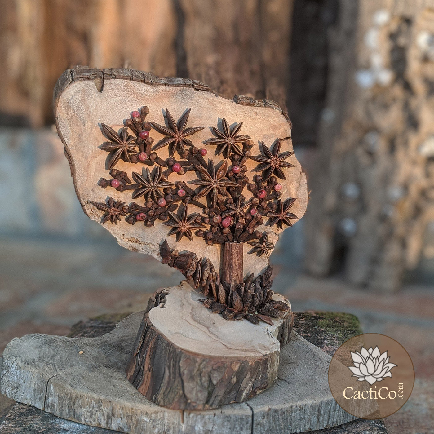 Nature Art: Star Anise Tree'