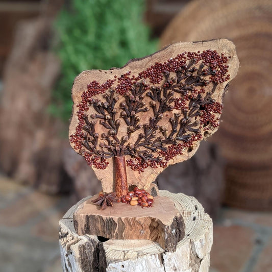 Handcrafted Organic Spice & Seed Art – Natural Driftwood Décor