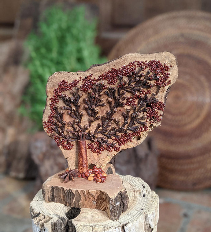 Handcrafted Organic Spice & Seed Art – Natural Driftwood Décor