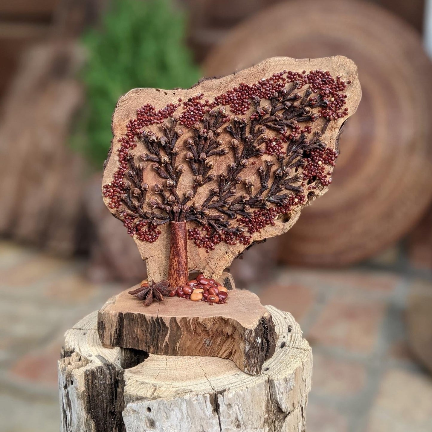Unique Nature Art: 'Spiced Live Oak' | Wood, Seeds and Driftwood | Home Décor | Housewarming Gift