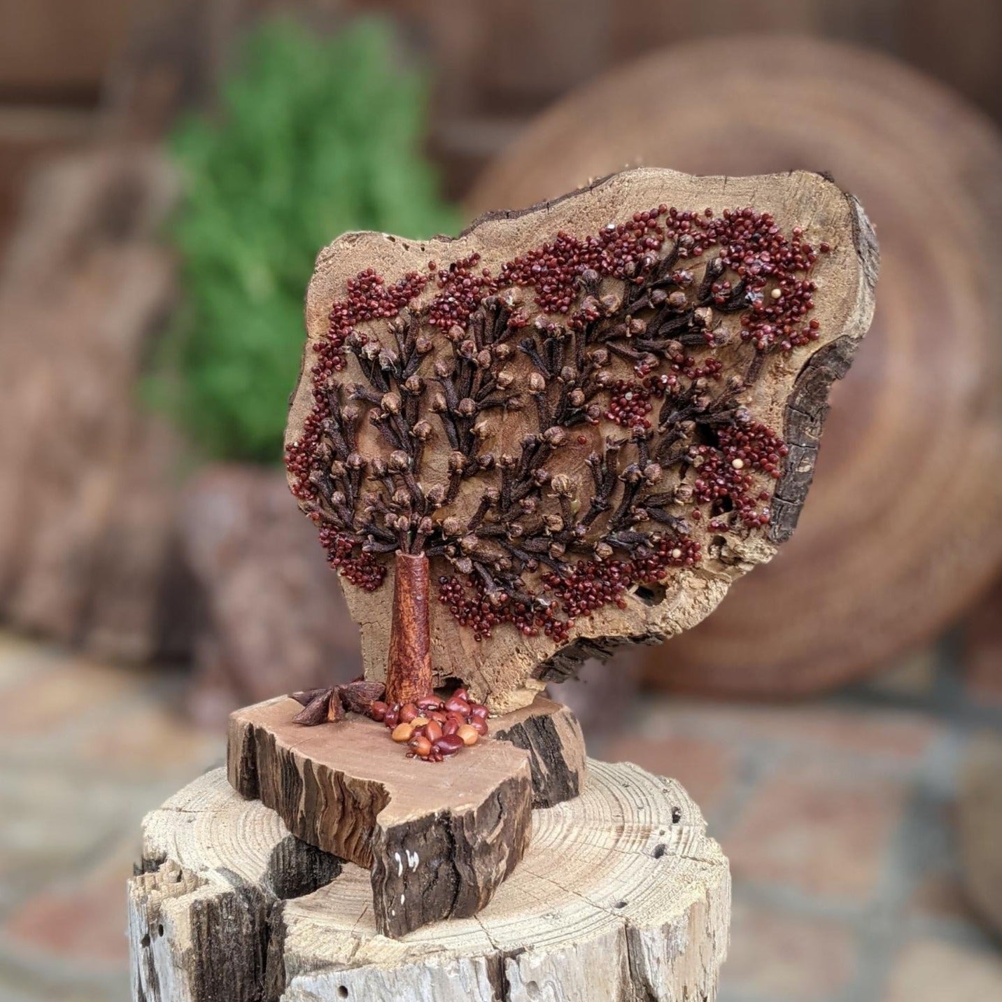 Unique Nature Art: 'Spiced Live Oak' | Wood, Seeds and Driftwood | Home Décor | Housewarming Gift