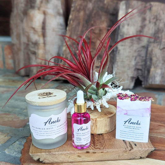 Succulent~Spa Gift Set: Live Succulent , Bee's Wax Candle, Soap, Oil Fragrance and Handcrafted driftwood board (White tea ~ Tea tree ~ Mint)