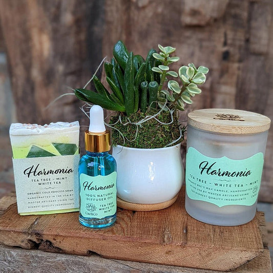 Succulent Spa Gift Set: Succulent , Bee's Wax Candle, Soap, Oil Fragrance and Handcrafted driftwood board - Harmonia