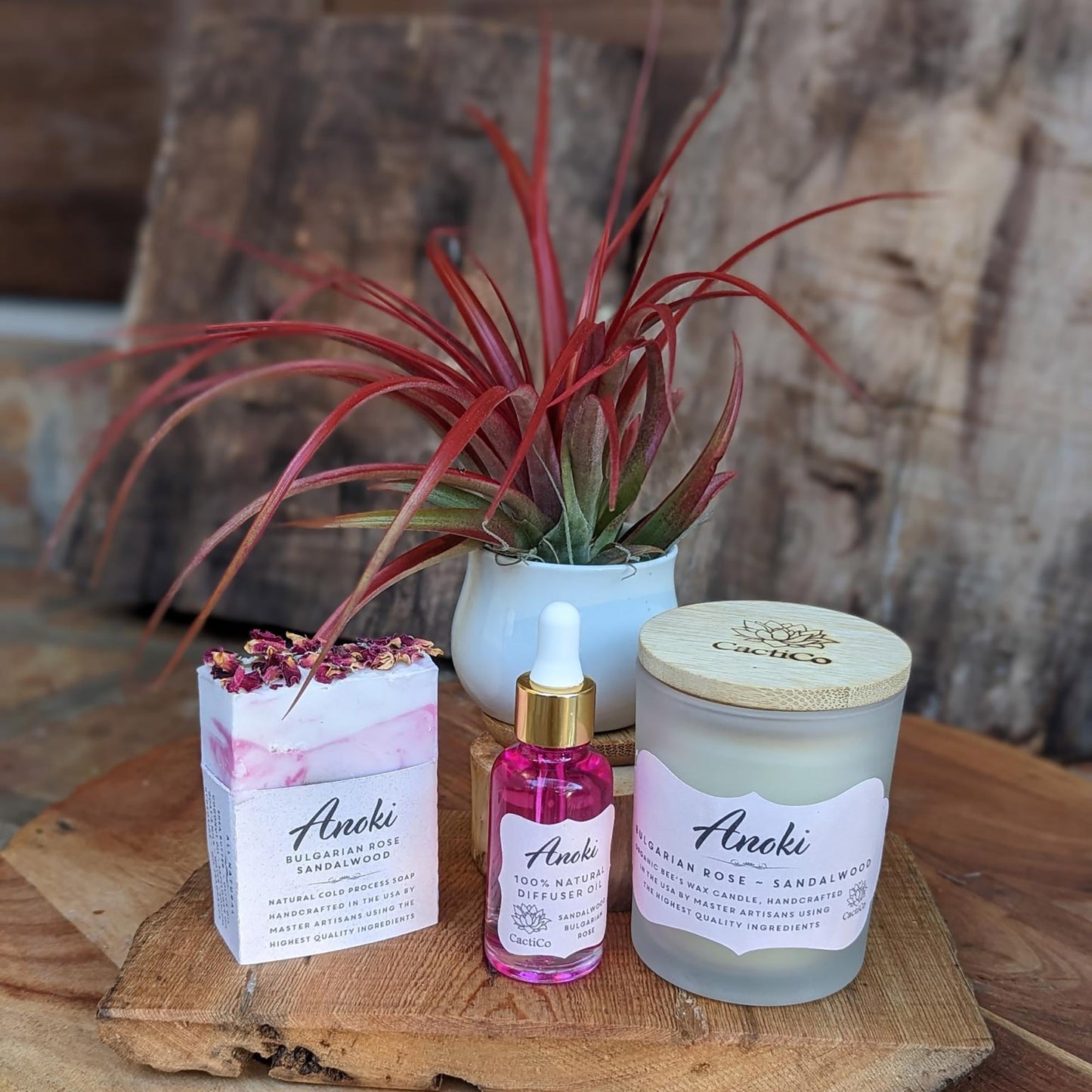 Succulent~Spa Gift Set: Live Succulent , Bee's Wax Candle, Soap, Oil Fragrance and Handcrafted driftwood board (White tea ~ Tea tree ~ Mint)